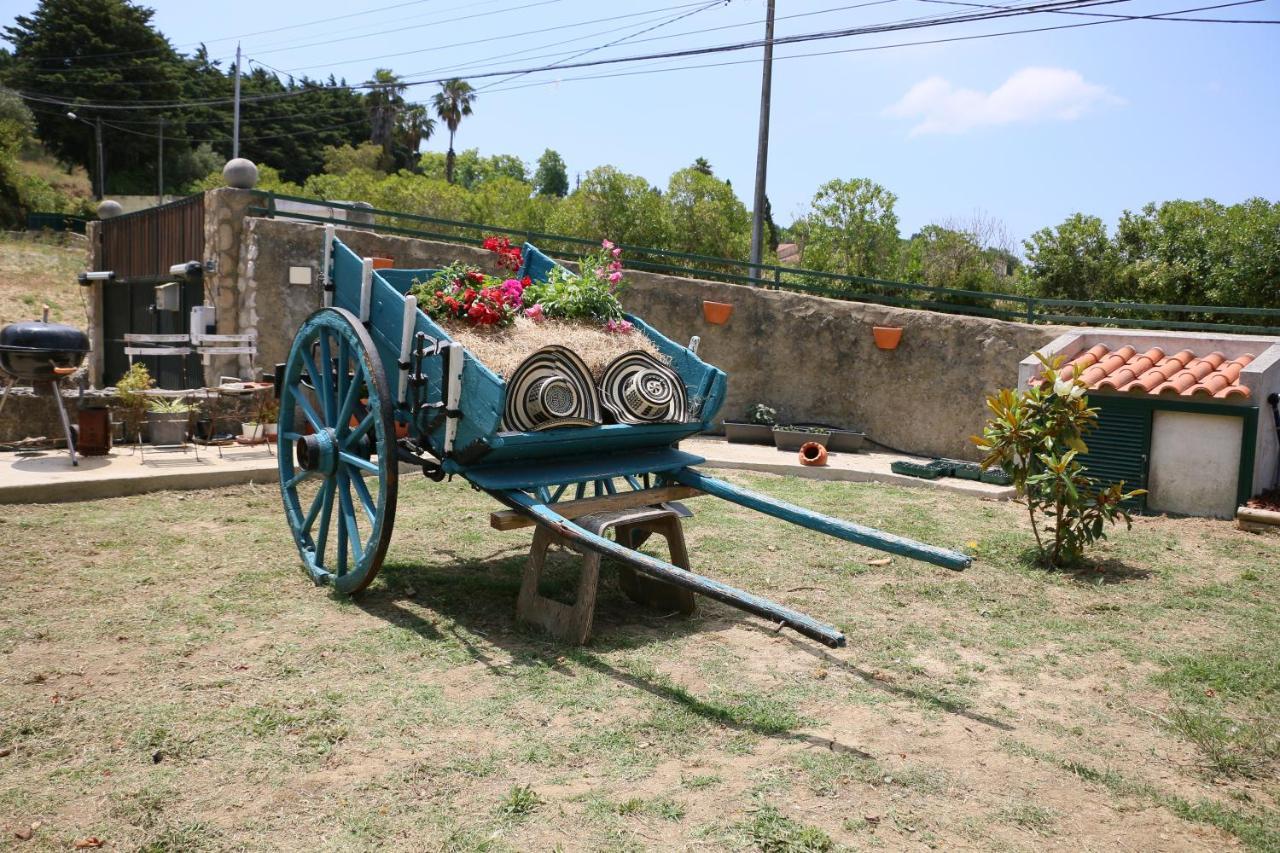 فيلا Quinta Da Chapeleira Em أزيتاوْ المظهر الخارجي الصورة